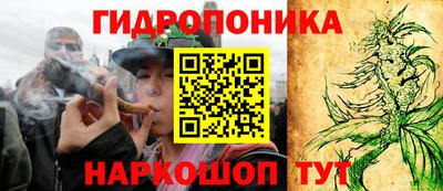 мдпв Аргун